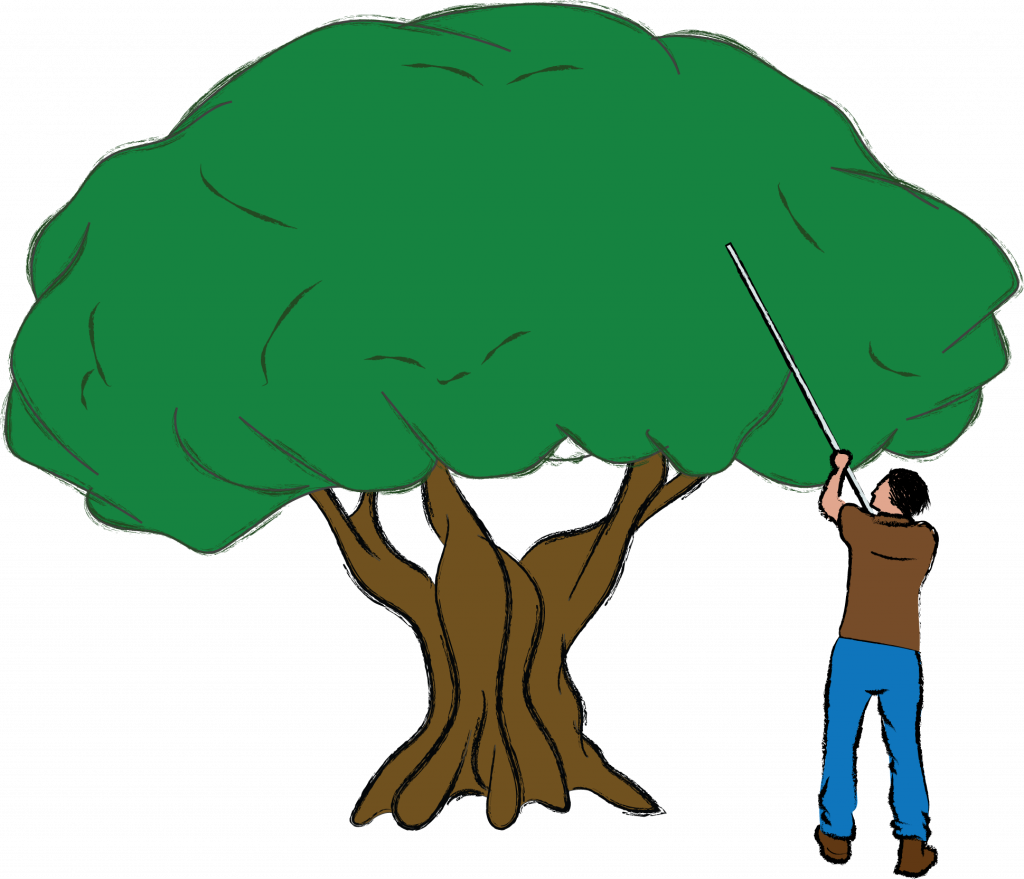ILLUSTRAZIONE RACCOLTA OLIVE